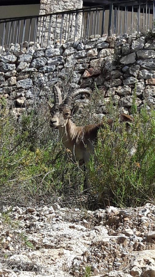 Vistas A Mar, En Paraje Natural La Herradura  Εξωτερικό φωτογραφία