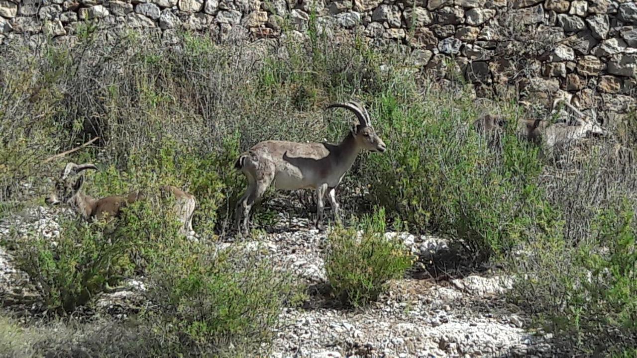 Vistas A Mar, En Paraje Natural La Herradura  Εξωτερικό φωτογραφία